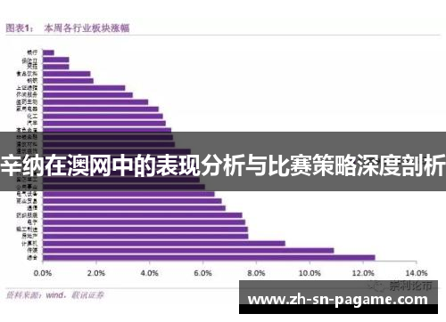 辛纳在澳网中的表现分析与比赛策略深度剖析